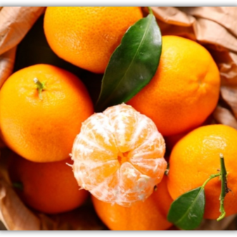 mandalina