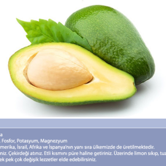 avokado33