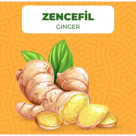 zencefil